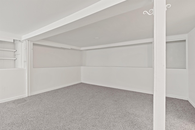 basement with carpet floors