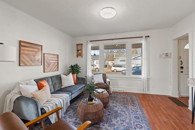 living room featuring hardwood / wood-style floors