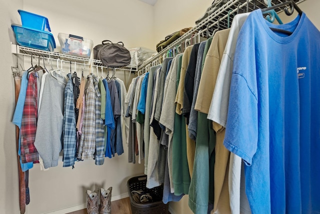 spacious closet with wood-type flooring