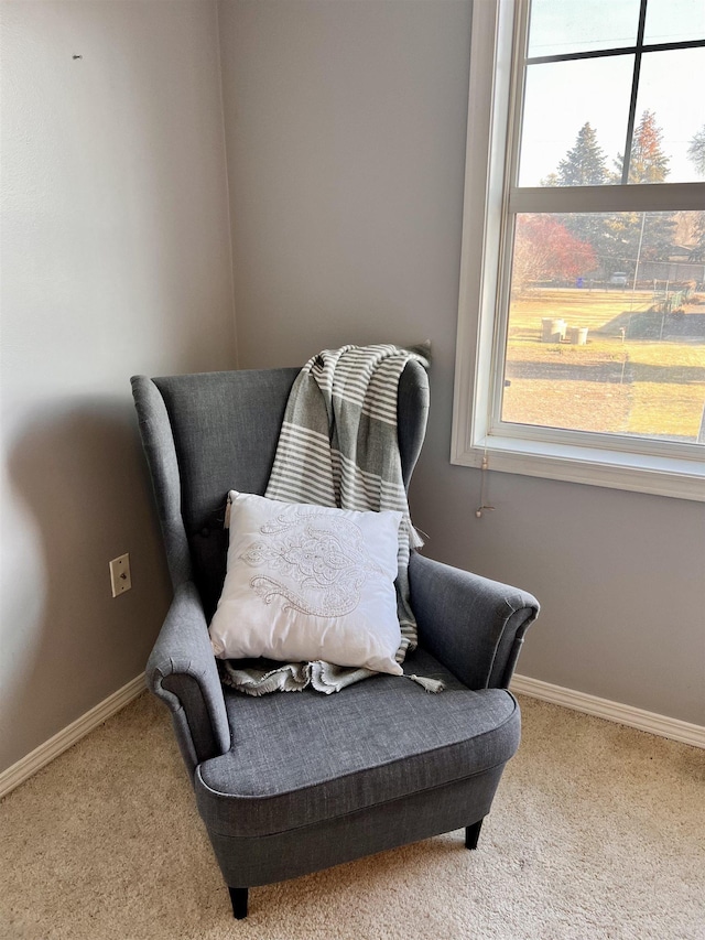 living area featuring light carpet