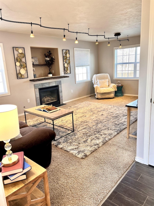 living room featuring track lighting and a fireplace