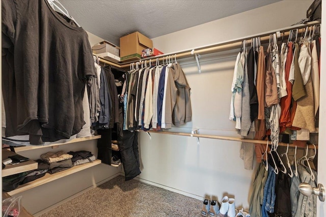 walk in closet featuring carpet floors