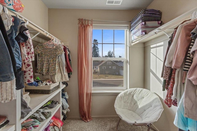 spacious closet with carpet flooring