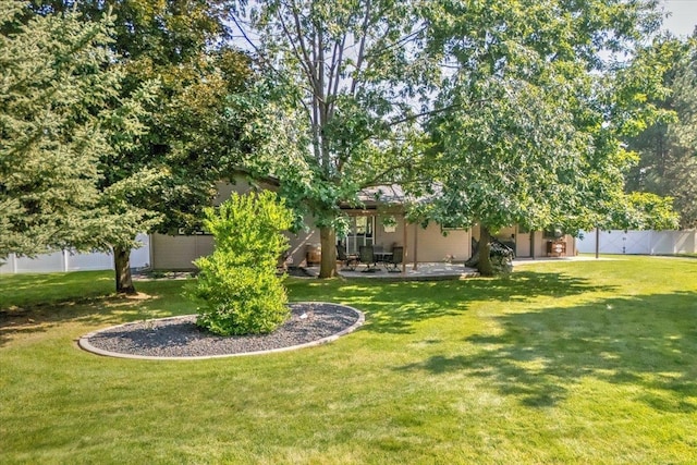 view of yard with a patio area