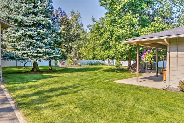 view of yard featuring a patio area