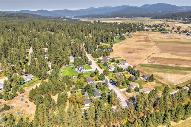 drone / aerial view with a mountain view