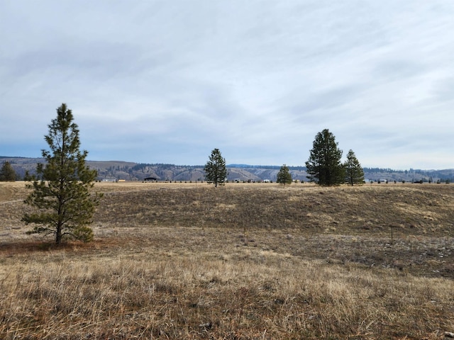 property view of mountains with a rural view