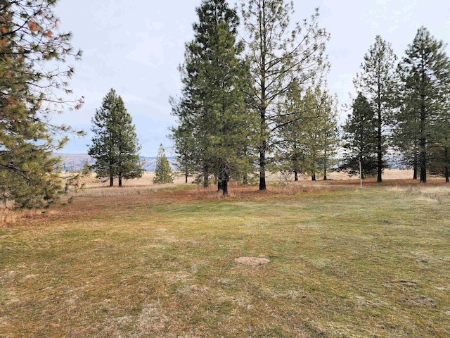 view of yard featuring a rural view