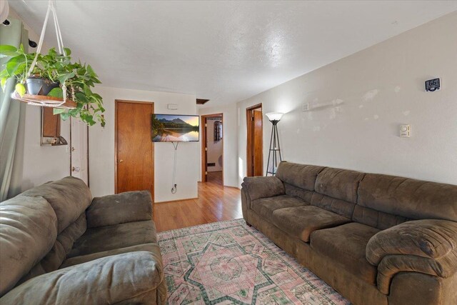 living room with hardwood / wood-style floors and a textured ceiling