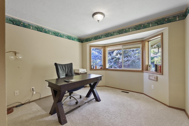 carpeted office space with a textured ceiling