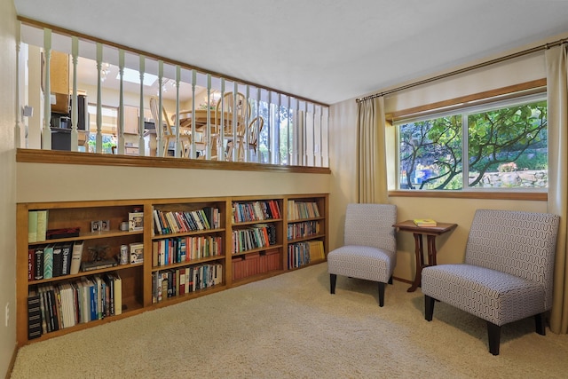 sitting room featuring carpet floors