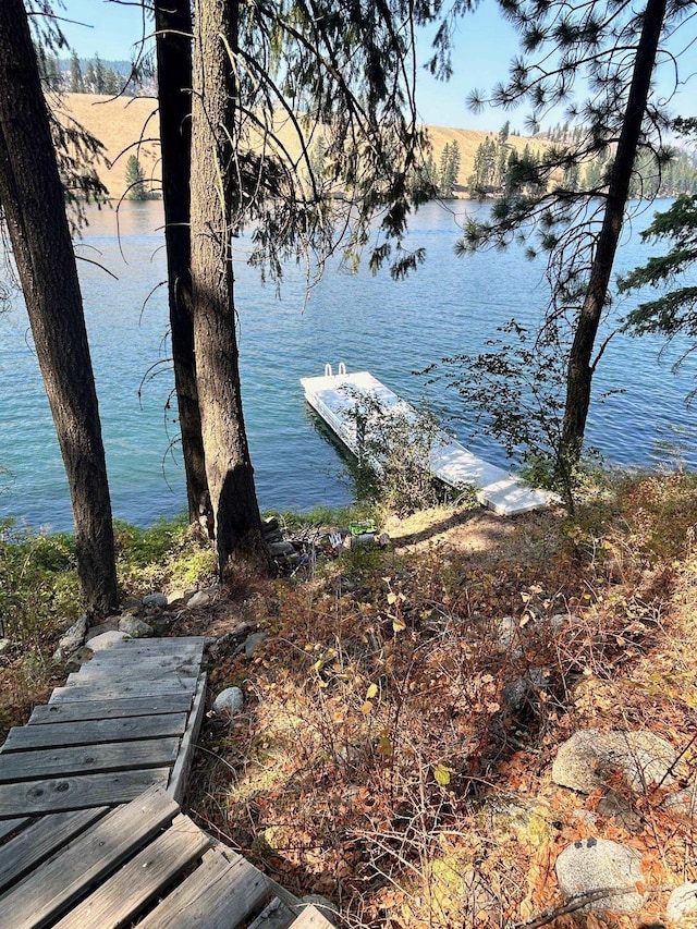 dock area with a water view