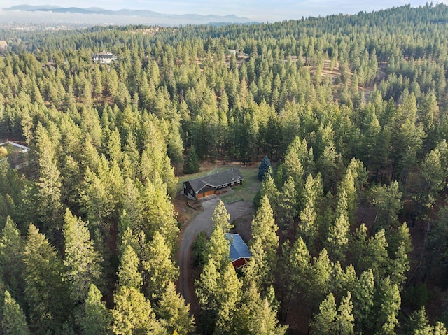 drone / aerial view with a mountain view