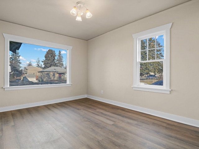 spare room with hardwood / wood-style flooring and plenty of natural light