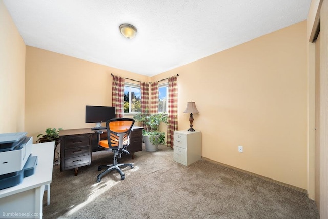 office area featuring carpet flooring