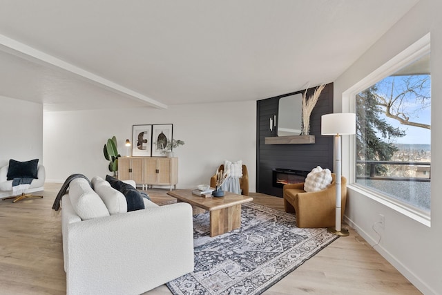 living room with light hardwood / wood-style floors and a large fireplace