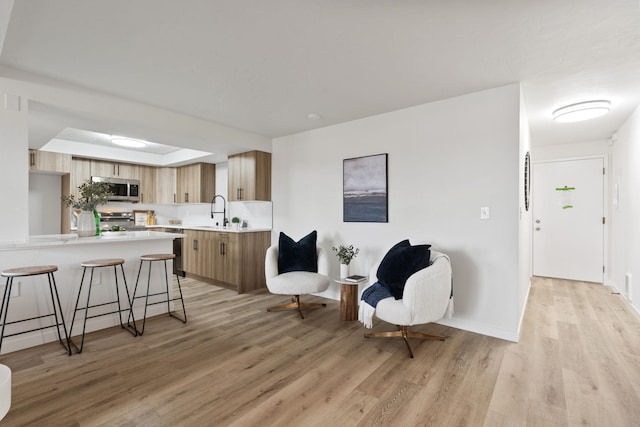 interior space with a raised ceiling, sink, and light wood-type flooring