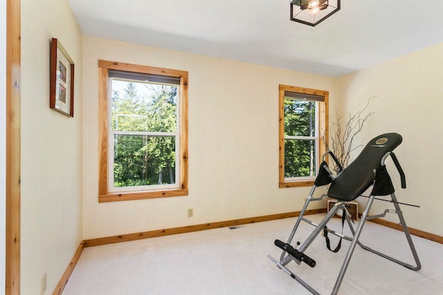 workout area featuring light colored carpet