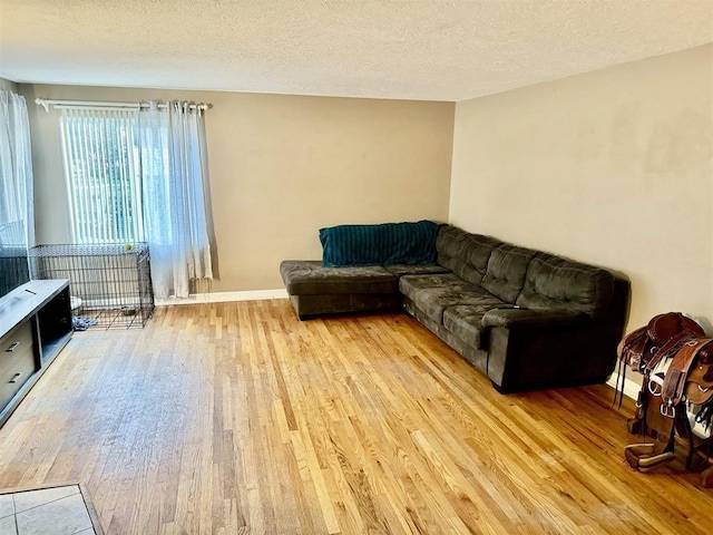 living room featuring a textured ceiling and light hardwood / wood-style flooring