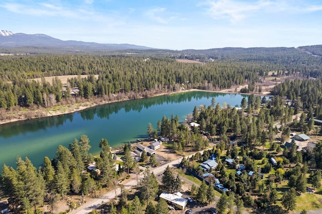 drone / aerial view with a water and mountain view