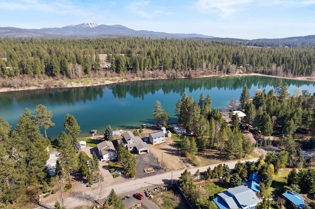 drone / aerial view featuring a water and mountain view