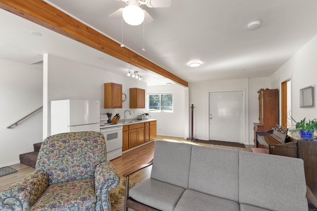 living room featuring ceiling fan, beam ceiling, sink, and light wood-type flooring