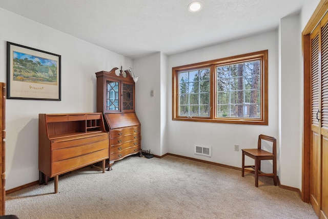 living area with carpet flooring and a textured ceiling