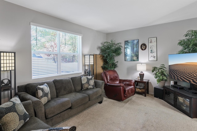 living room featuring light colored carpet