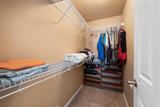 spacious closet featuring light colored carpet