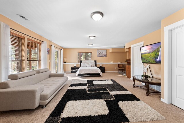 carpeted living room with plenty of natural light