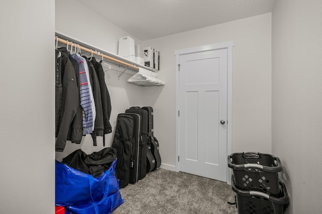 walk in closet featuring light carpet