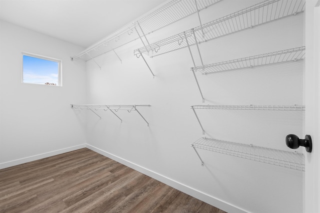 walk in closet featuring hardwood / wood-style floors