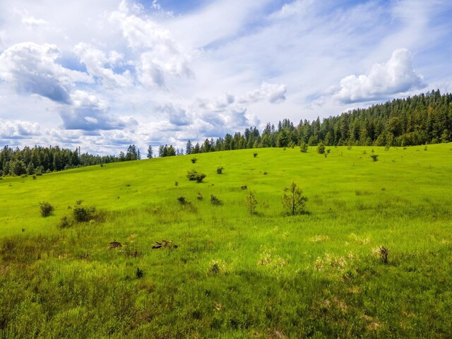 15809 N Scribner Branch Rd, Spokane, WA 99217