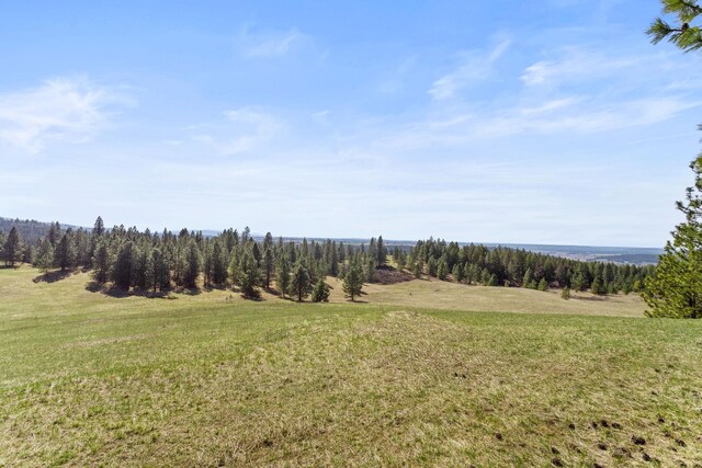 15809 N Scribner Branch Rd, Spokane, WA 99217