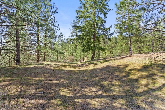 15809 N Scribner Branch Rd, Spokane, WA 99217