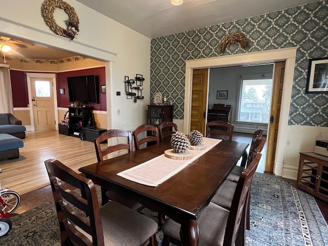 dining space with wood-type flooring and ceiling fan