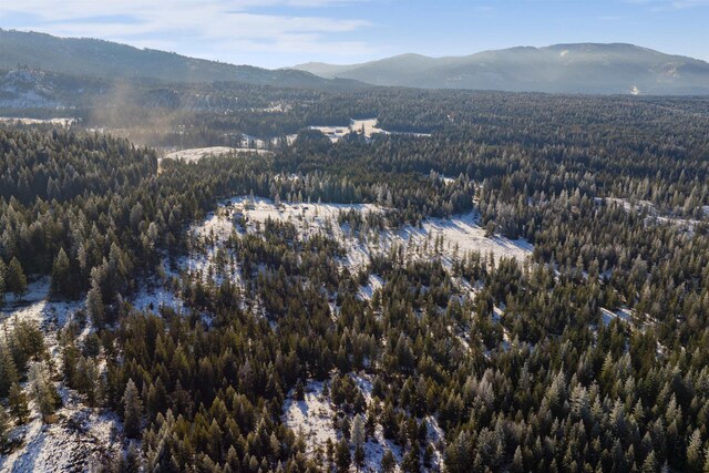 bird's eye view featuring a mountain view