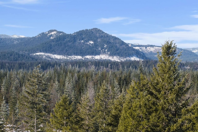 property view of mountains