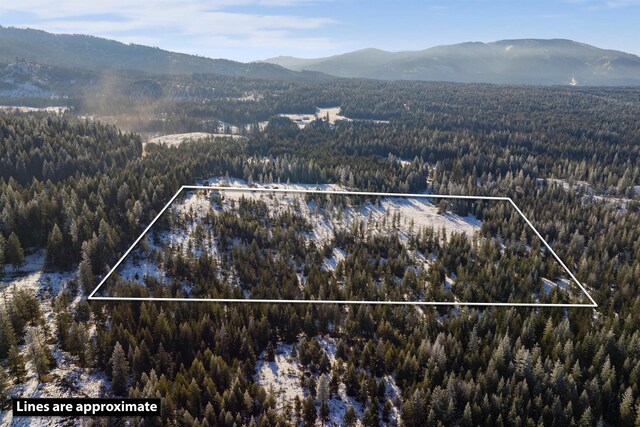 drone / aerial view featuring a mountain view