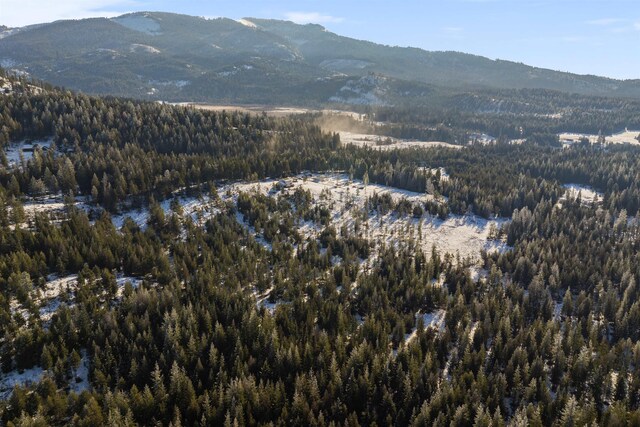 drone / aerial view with a mountain view