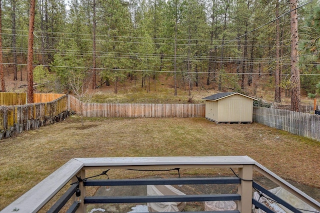 view of yard featuring a shed