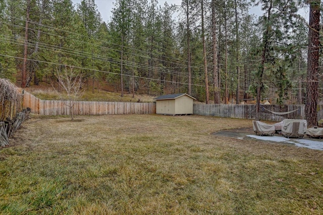 view of yard featuring a shed