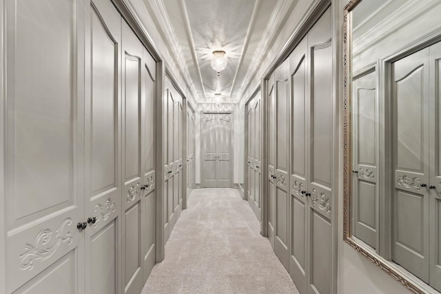 hallway with crown molding, light carpet, and a tray ceiling