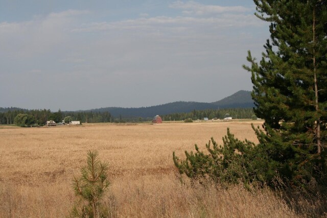404XX N Sherman Rd, Deer Park, WA 99006 - photo 12