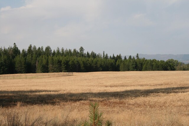404XX N Sherman Rd, Deer Park, WA 99006 - photo 13