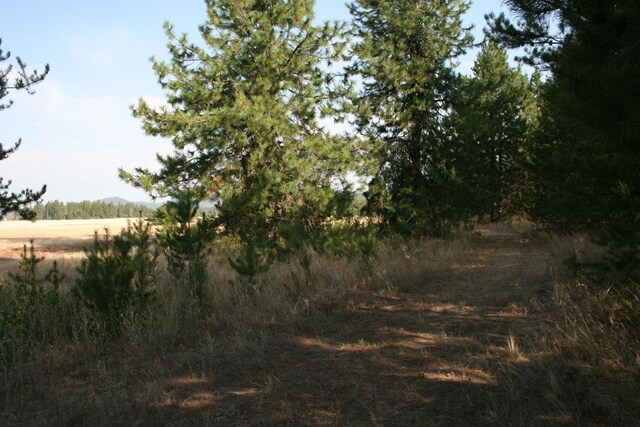 404XX N Sherman Rd, Deer Park, WA 99006 - photo 15