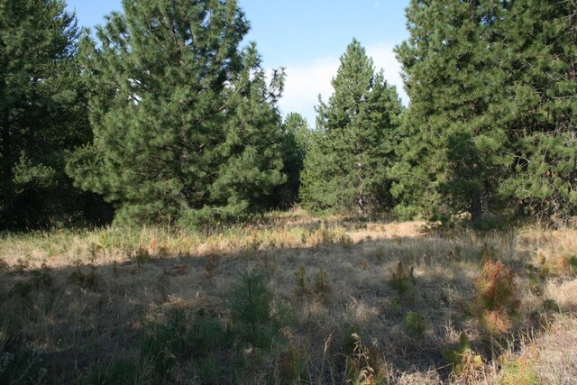 404XX N Sherman Rd, Deer Park, WA 99006 - photo 4