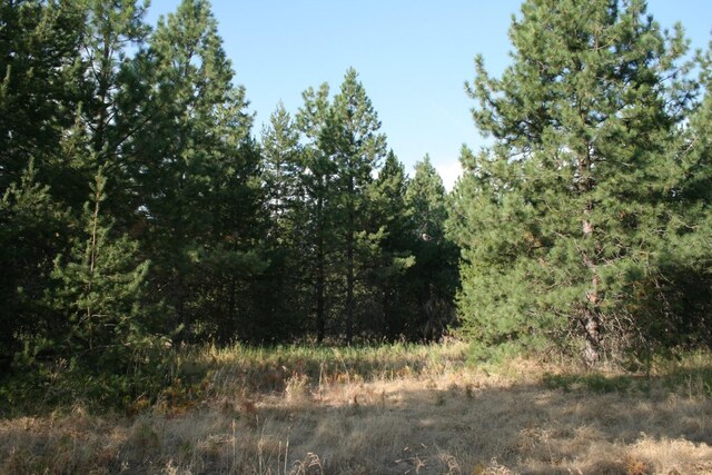 404XX N Sherman Rd, Deer Park, WA 99006 - photo 5