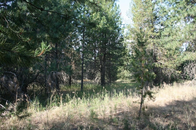 404XX N Sherman Rd, Deer Park, WA 99006 - photo 6