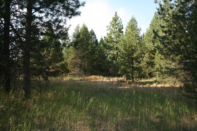 404XX N Sherman Rd, Deer Park, WA 99006 - photo 7